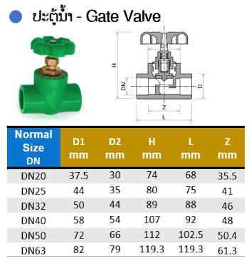 Gate Valve