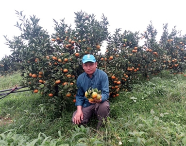 HDPE PIPE SYSTEM PROVIDES IRRIGATION WATER FOR TANGERINE GARDEN IN SAVANNAKHET PROVINCE, LAO